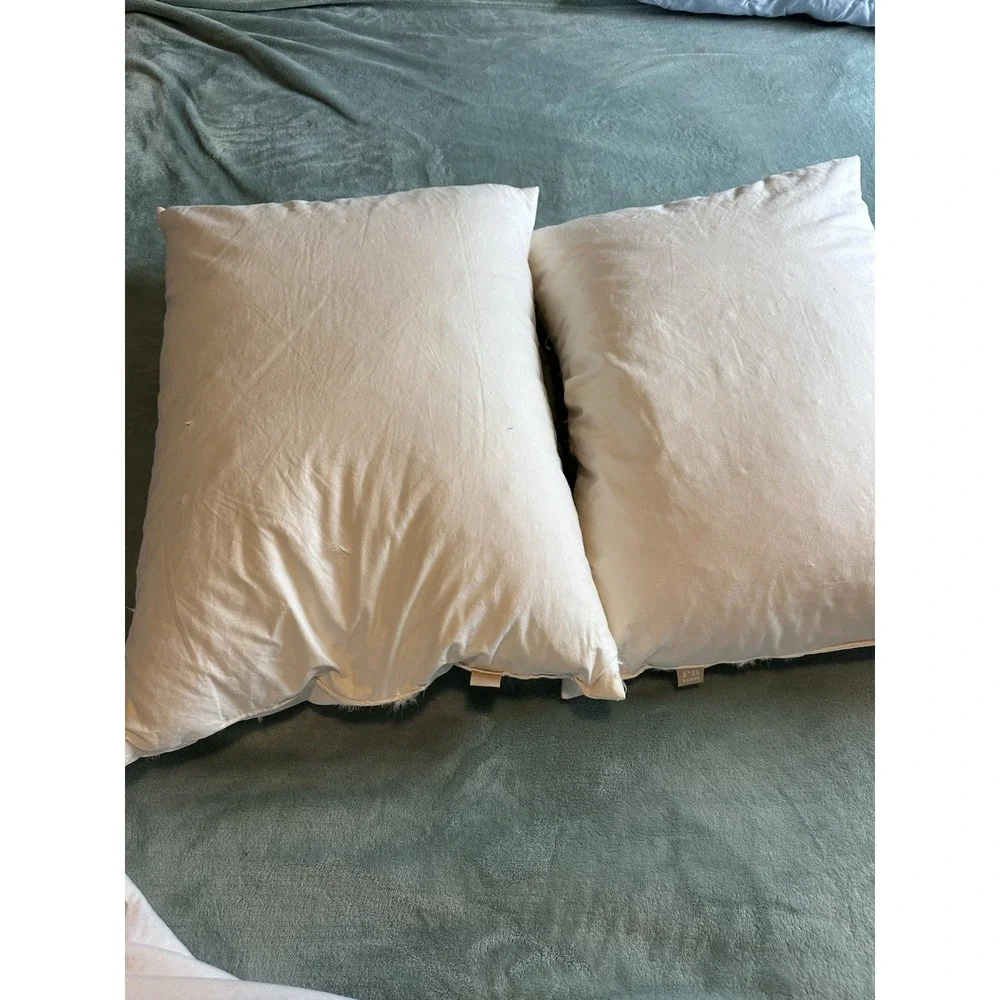 Pottery Barn Teen Standard Down Feather Pillow Insert Set of 2 White